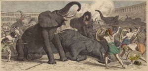 Elfogott elefántok megölése egy római arénában alkotó: Heinrich Leutemann
