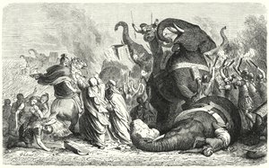 Az asculumi csata, ie 279 (metszet) alkotó: Heinrich Leutemann