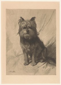 holland smoushond alkotó: Heinrich M. Krabbé