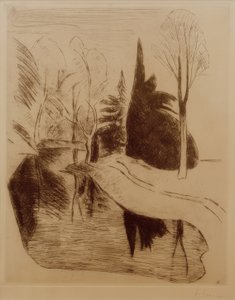 Park Dilbornban, 1914