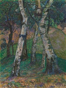 Nyírfa a Barkenhoffban, 1913.