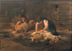 A birkanyírás