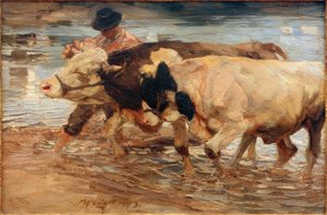 Farmhand tehénnel és ökörrel