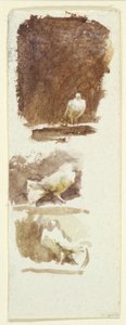 Galambok (wc papíron) alkotó: Helen Allingham