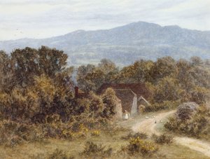 Hindhead Sandhillsből, Witley