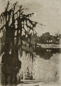 Ciprusfák alkotó: Helen Hyde