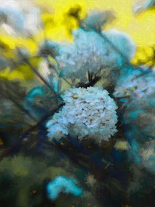 Virágzó május, 2019 alkotó: Helen White