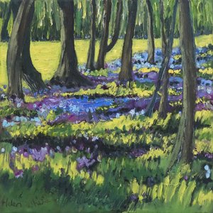 Bluebell Wood, 2008 alkotó: Helen White