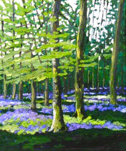 Bluebell Wood, 2009 (olaj, vászon) alkotó: Helen White