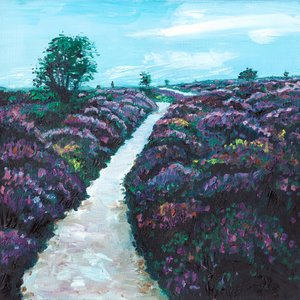 Heathland Heather, 2009 alkotó: Helen White