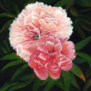 Magdalen College Peonies, 2023 (olaj, vászon)