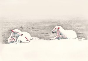 Szunyókálás, 2016, (ceruzarajz) alkotó: Helen White