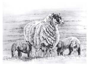 Büszke, 2012 alkotó: Helen White