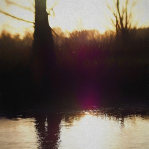 Violet Haze, 2018, alkotó: Helen White