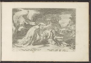 Juno Callistót medvévé változtatja Ovidius metamorfózisai (sorozat címe) P. Ovidius Naso rekreációi (sorozat címe) alkotó: Hendrick Goltzius (workshop of)