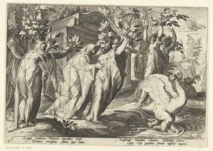 Phaëthon nővérei nyárfává, barátja hattyúvá változnak Ovidius metamorfózisai (sorozat címe) alkotó: Hendrick Goltzius (workshop of)