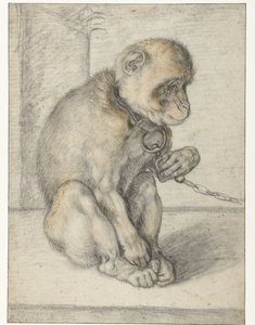 Egy ülő majom a láncon Majom a láncon, ülve alkotó: Hendrick Goltzius