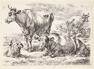 Az Out család egyik tagjának portréja. Cornelis Out (?) alkotó: Hendrick Goltzius