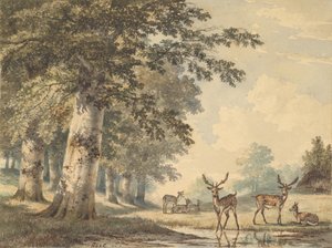 Szarvas bükkfák alatt télen, 1853.