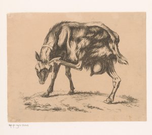Kecske vakarja a fejét alkotó: Hendrik Jozef Franciscus van der Poorten