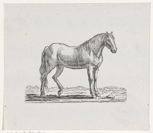 Ló alkotó: Hendrik Numan