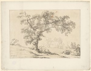 Fa a tájban Tentamina Lithographica (sorozat címe) Olasz tájak (sorozat címe)