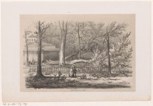 Az 1860. május 28-i vihar után kidőlt a fa a klubnál Szociális sátor (cím az objektumon) Tíz litografált vázlatot tartalmazó album, amely a pusztulás Tooneelenjét ábrázolja, akit felkavart az 1860. május 28-i vihar a Gravenhaagsche Boschban.