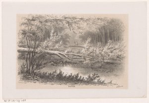 Fa kitört, az 1860. május 28-i vihar után Tó (cím az objektumon) Tíz litografált vázlatot tartalmazó album, amely a pusztulás Tooneelenjét ábrázolja, akit felkavart az 1860. május 28-i vihar a Gravenhaagsche Boschban, Scheveningenben stb.