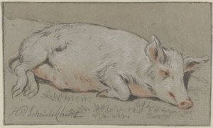 fekvő disznó alkotó: Hendrik Willem Schweickhardt (signed by artist)