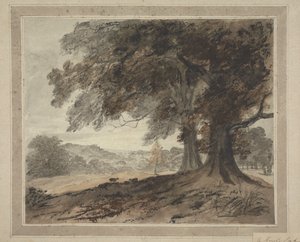 A Knole Parkban