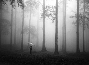 Misty Woods esernyő
