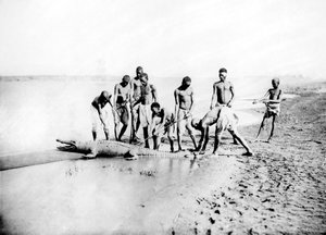 Vadászat egy krokodilra, Núbia, Egyiptom, 1887