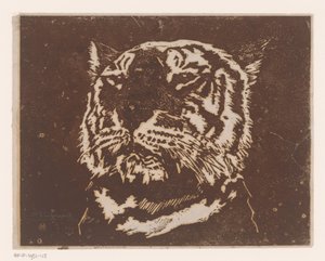 Tigris
