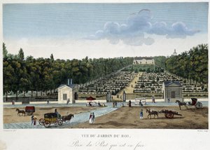 Kilátás a Jardin du Roi-ra (Növénykert) a szemközti hídról - Courvoisier "" Párizsi kilátások" című filmben alkotó: Henri Courvoisier-Voisin