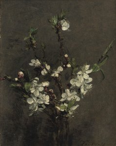 Gyümölcsfa virágai alkotó: Ignace Henri Jean Fantin Latour