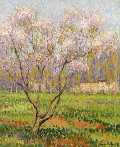 Virágzó almafa; Alma virágok, alkotó: Henri Martin
