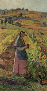 Aratás; A szőlőszüret, 1925 körül