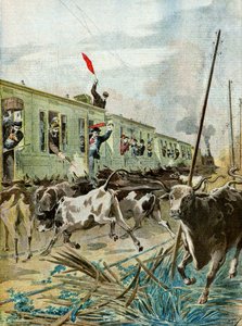 Egy vonatot megtámadott egy bikacsorda,1895 (Illusztráció)