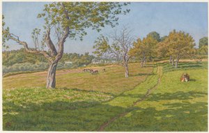 Auffay-i mezők alkotó: Henri Rivière
