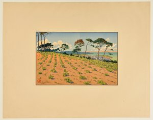 [Douarnenez a Ris-i útról nézve] alkotó: Henri Rivière