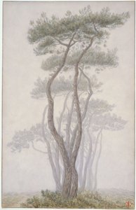 Loguivy, fák alkotó: Henri Rivière