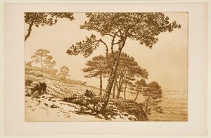 [Ködös reggel] alkotó: Henri Rivière