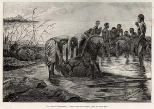 Víziló hentesüzlet egy közép-afrikai folyó partján. Henri Thiriat metszete a „Crampel misszió” című történet illusztrálására, Albert Nebout (1862-1939), 1890-ben, a Le tour du Monde 1892-ben, rendezte: Edouard Charton (1807-1891), Hachette, Pa. alkotó: Henri Thiriat