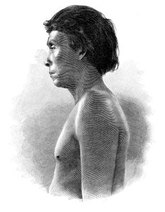 Guatsu indián, Közép-Amerika, 1890