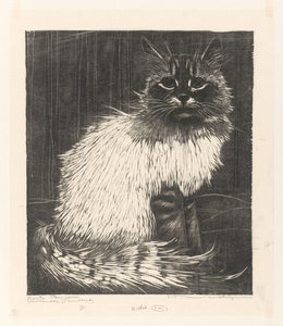Bonte Angora (eredeti cím a tárgyon)