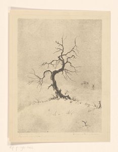 Lonely Tree (eredeti cím az objektumon)