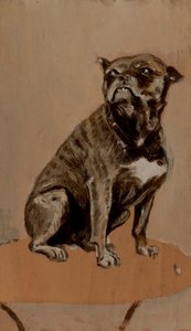 Touc, auf einem Tisch sitzend von Henri de Toulouse-Lautrec