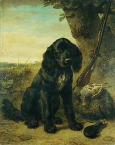 Lapos szőrű retriever egy fa mellett (olaj, vászon) alkotó: Henriëtte Ronner Knip