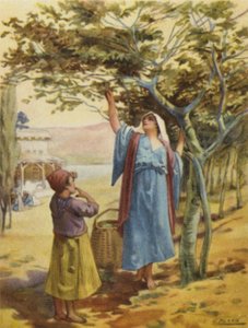 Fügegyűjtés (színes litó) alkotó: Henry Andrew Harper