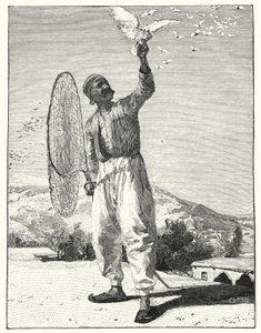 Madarak csapdája a háztetőben keleten (litho) alkotó: Henry Andrew Harper